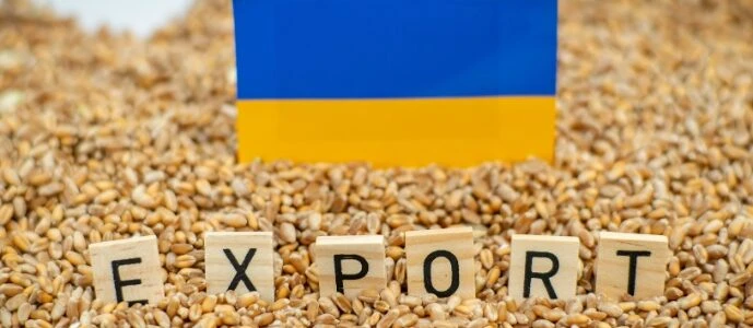 Агроекспорт України за 27 днів серпня скоротився майже вдвічі